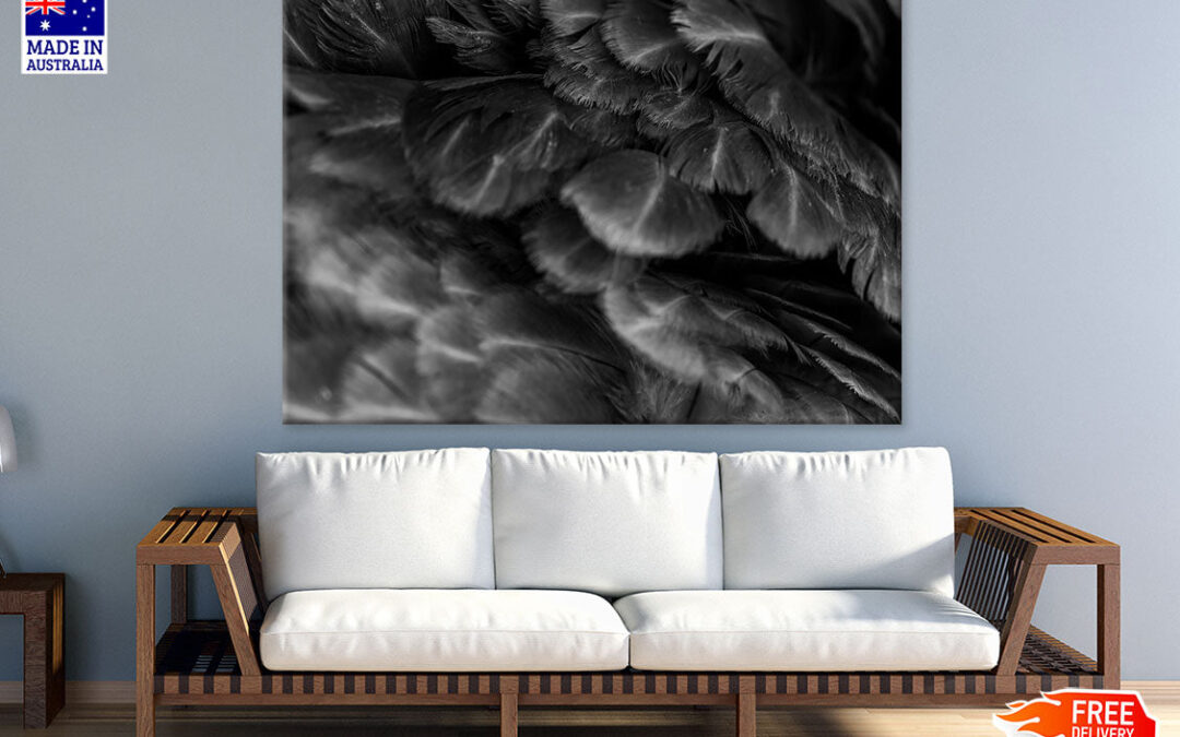 B&W Feathers Closeup Photograph Print 100% Australian Made
