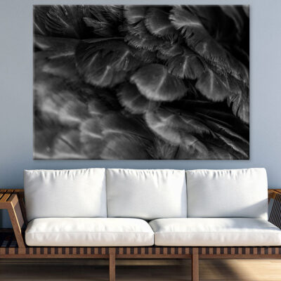 B&W Feathers Closeup Photograph Print 100% Australian Made