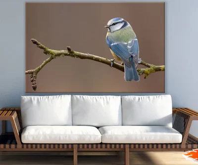 Little Bird on Tree Photograph Print 100% Australian Made
