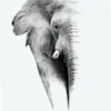 Elephant Portrait B&W Photograph Home Decor Premium Quality Poster Print Choose Your Sizes - Image 2