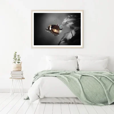 Butterfly Closeup Photograph Home Decor Premium Quality Poster Print Choose Your Sizes