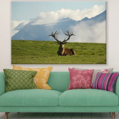 Deer in Meadow Scenery Photograph Print 100% Australian Made