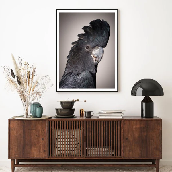 Macaw Bird Portrait Photograph Home Decor Premium Quality Poster Print Choose Your Sizes