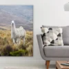 Llama on Grass Field Photograph Print 100% Australian Made