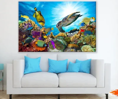Under Sea Animals Photograph Print 100% Australian Made