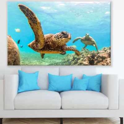 Turtles in Scenery Sea Photograph Print 100% Australian Made