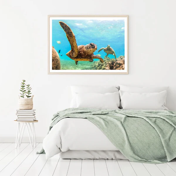 Turtles in Scenery Sea Photograph Home Decor Premium Quality Poster Print Choose Your Sizes