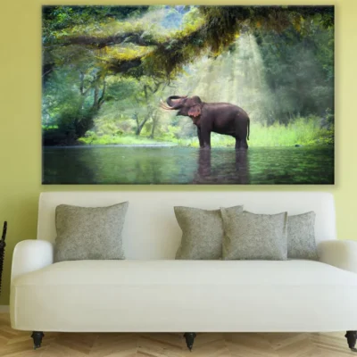 Elephant Near River Photograph Print 100% Australian Made