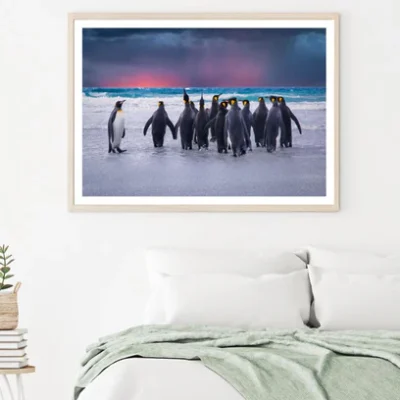 Penguins Near Sea Photograph Home Decor Premium Quality Poster Print Choose Your Sizes