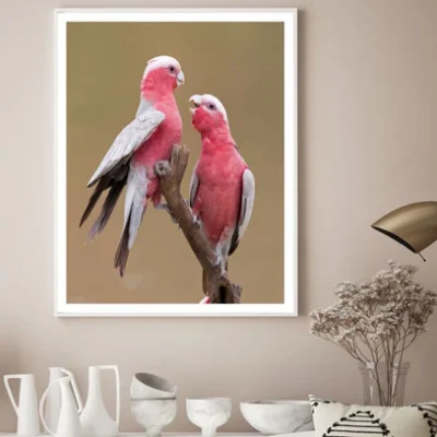Love Birds on Tree Photograph Home Decor Premium Quality Poster Print Choose Your Sizes