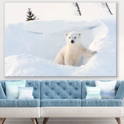 Polar Bear Cub on Snow Photograph Print 100% Australian Made