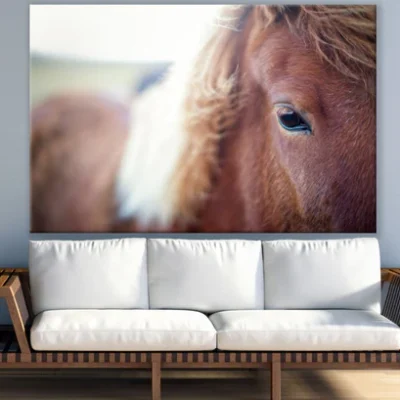 Horse Portrait Eye Photograph Print 100% Australian Made