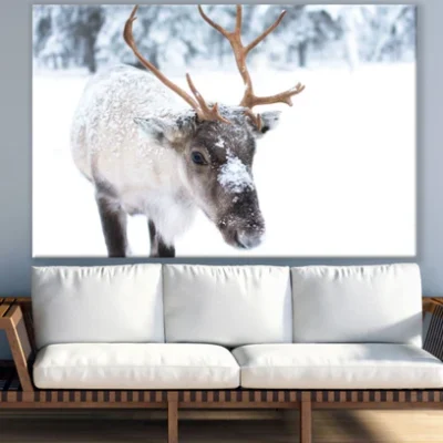 Deer in Snow Forest Photograph Print 100% Australian Made