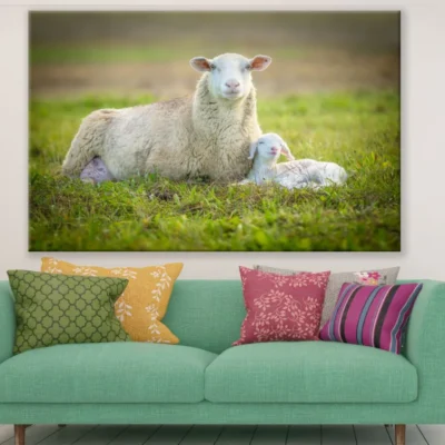 Sheep & Lamb on Grass Photograph Print 100% Australian Made