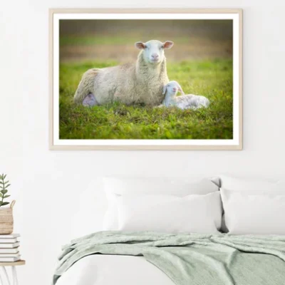 Sheep & Lamb on Grass Photograph Home Decor Premium Quality Poster Print Choose Your Sizes