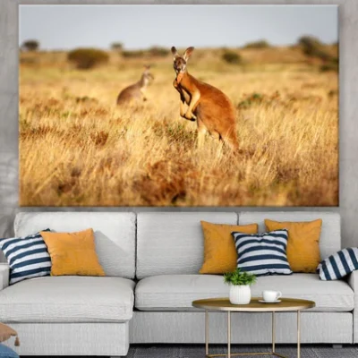 Kangaroo in Grass Field View Print 100% Australian Made
