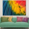 Colorful Bird Feathers Photograph Paint Print 100% Australian Made