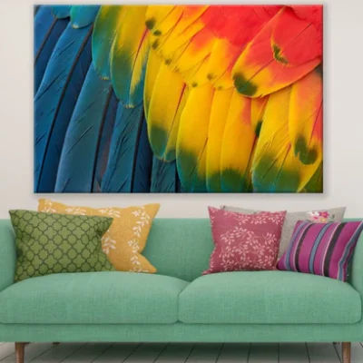 Colorful Bird Feathers Photograph Paint Print 100% Australian Made