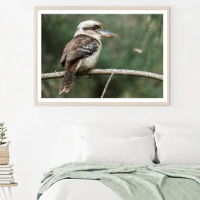 Kookaburra Bird on Tree Closeup Home Decor Premium Quality Poster Print Choose Your Sizes