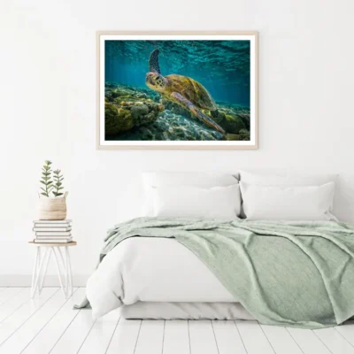 Tutle in Sea Photogrpah Home Decor Premium Quality Poster Print Choose Your Sizes
