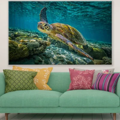 Tutle in Sea Photogrpah Print 100% Australian Made