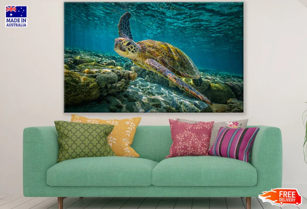 Tutle in Sea Photogrpah Print 100% Australian Made