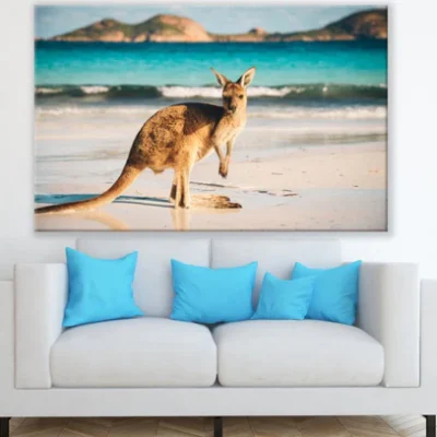 Kangaroo on Beach Photograph Print 100% Australian Made