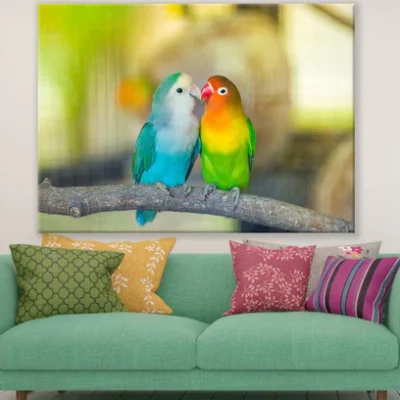 Love Birds Closeup Photograph Print 100% Australian Made