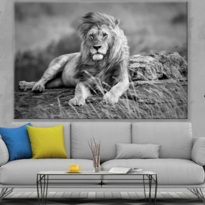 Lion Portrait B&W Photograph Print 100% Australian Made