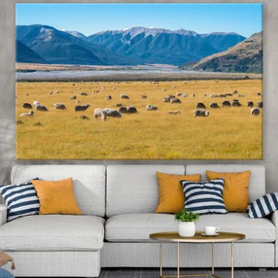 Sheeps on Meadow Photograph Print 100% Australian Made