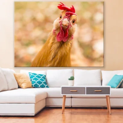 Rooster Closeup Portrait Photograph Print 100% Australian Made
