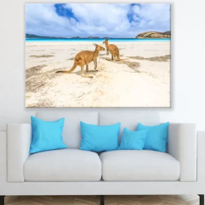 Kangaroos at Sea Shore Photograph Print 100% Australian Made