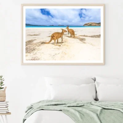 Kangaroos at Sea Shore Photograph Home Decor Premium Quality Poster Print Choose Your Sizes