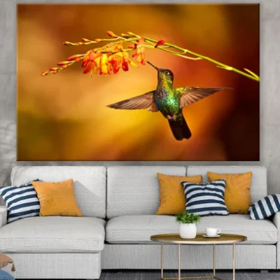 Humming Bird & Flower Photograph Print 100% Australian Made