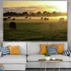 Cow Herd on a Meadow Photograph Print 100% Australian Made