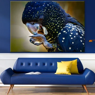 Blue & Yellow Parrot Photograph Print 100% Australian Made