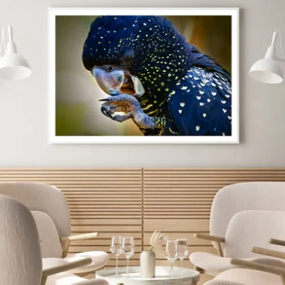 Blue & Yellow Parrot Photograph Home Decor Premium Quality Poster Print Choose Your Sizes