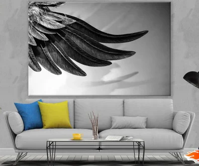 Feathers Closeup B&W Photograph Print 100% Australian Made