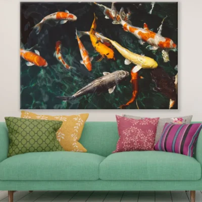 Koi Fish in a Pond Photograph Print 100% Australian Made