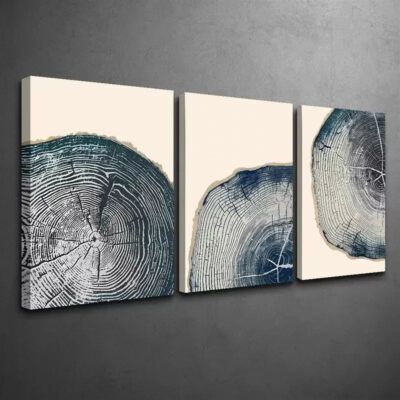 3pcs Cross Section Of A Tree Trunk Texture Canvas Framed 40x60cm - High Quality Print 100% Australian Made Wall Canvas Ready to Hang
