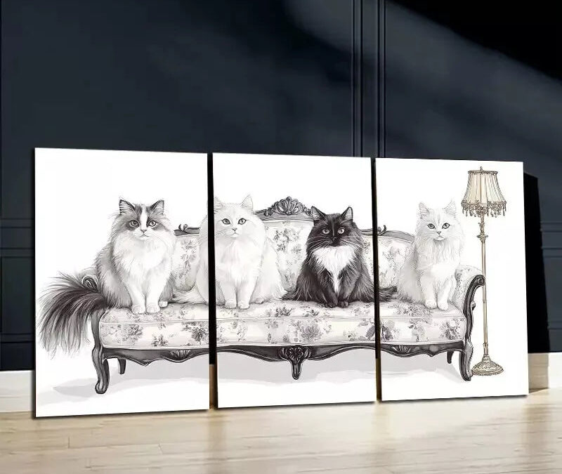 3pcs Black & White Cats In Sofa Canvas Framed 40x60cm – High Quality Print 100% Australian Made Wall Canvas Ready to Hang