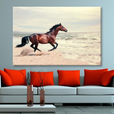 Wonderful Marine Landscape with Beautiful Bay Horse Wall Art Decor 100% Australian Made