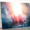 Pink Flower & Sunlight View Acrylic Glass Print Tempered Glass Wall Art 100% Made in Australia Ready to Hang