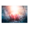 Pink Flower & Sunlight View Acrylic Glass Print Tempered Glass Wall Art 100% Made in Australia Ready to Hang - Image 4