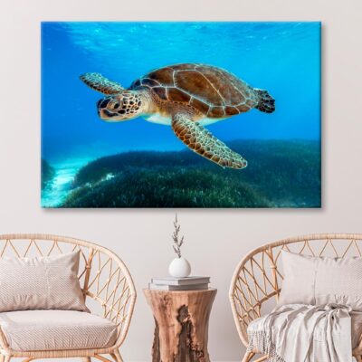 Turtle Swimming in The Ocean with A Lot of Water Wall Art Decor 100% Australian Made