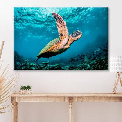 Graceful Swimming Sea Turtle Wall Art Decor 100% Australian Made