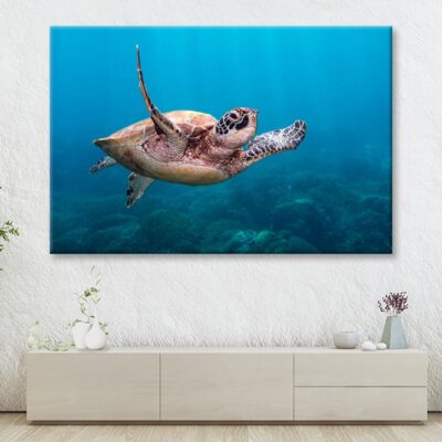 Turtle Swimming in The Ocean Wall Art Decor 100% Australian Made