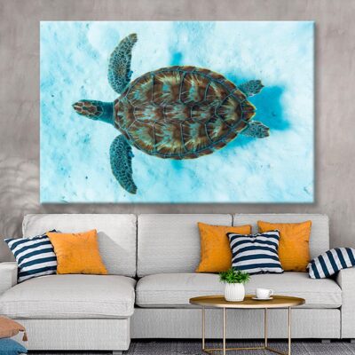 Green Sea Turtle Swimming Wall Art Decor 100% Australian Made