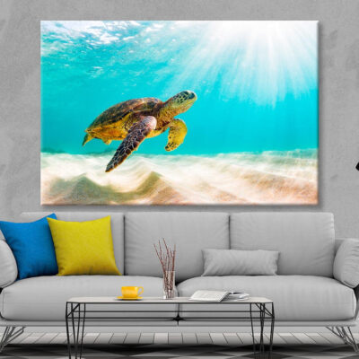 Turtle Swimming in The Ocean with Sun Shining Wall Art Decor 100% Australian Made