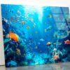 Underwater Scene Showcasing a Diverse Coral Reef Acrylic Glass Print Tempered Glass Wall Art 100% Made in Australia Ready to Hang